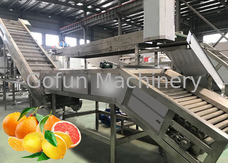 Industrielle Zitrusverarbeitungslinie Orange Lemon Processing Unit 1 Jahr Garantie