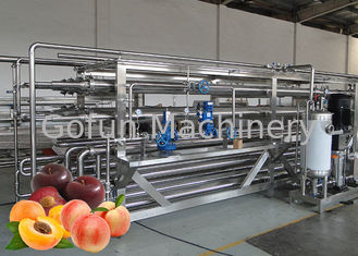 Getränkefrucht-Produktlinie-Aprikosen-Saftverarbeitungs-Betriebshoch, das Rate extrahiert