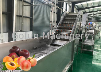Wassersparen-Frucht-Produktlinie-Aprikosen-Saft-Konzentrations-Sicherheitsüberwachung