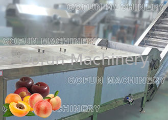 Frucht-Produktlinie-Pfirsich-Verarbeitungsanlage-Saft-Püree SS 304 getrocknet