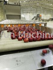 Automatische Apple Produktlinie SUS304 für Püree 20t/H
