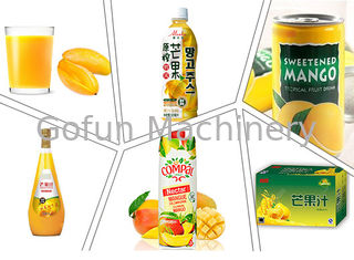 Starker Juice Extracting Mango Processing Line 25T/H