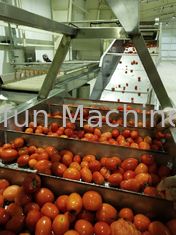 Tomaten-Fertigungsstraße des Nahrungsmittelgrad-304SUS fertigte 100T/D besonders an