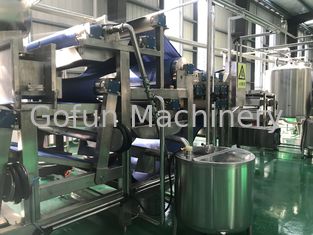 Trauben-Ananas Juice Processing Machine 415V SS316