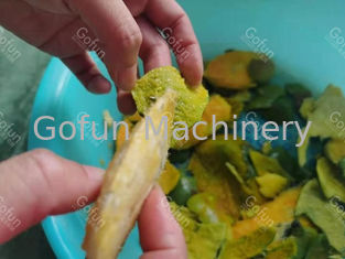 20 t-/hedelstahl-Mango-Produktlinie-automatische Mango Juice Making Machine