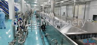 500T/D Industrial Mango Processing Line Schlüsselfertiger Service SUS304 / 316L