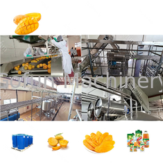 Mango Juice Processing Line High Efficiency des Edelstahl-300T/D