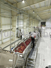Edelstahl 316 Apple Juice Processing Line 50Hz mit Wasser bereiten System auf